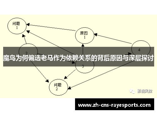 魔鸟为何偏选老马作为依赖关系的背后原因与深层探讨 魔鸟为何偏选老马作为依赖关系的背后原因与深层探讨