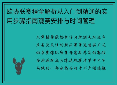 欧协联赛程全解析从入门到精通的实用步骤指南观赛安排与时间管理